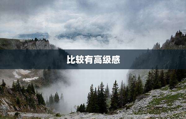 比较有高级感