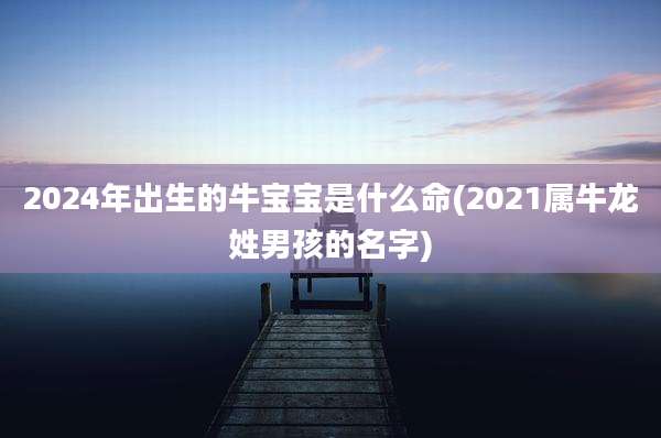 2024年出生的牛宝宝是什么命(2021属牛龙姓男孩的名字)
