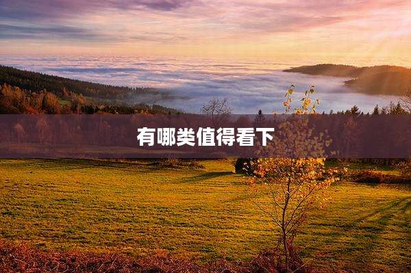 有哪类值得看下