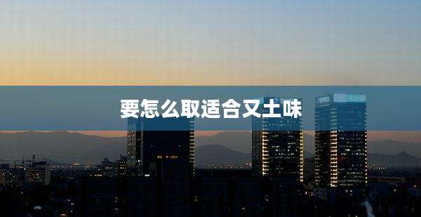 要怎么取适合又土味
