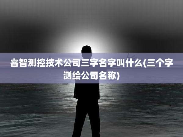 睿智测控技术公司三字名字叫什么(三个字测绘公司名称)