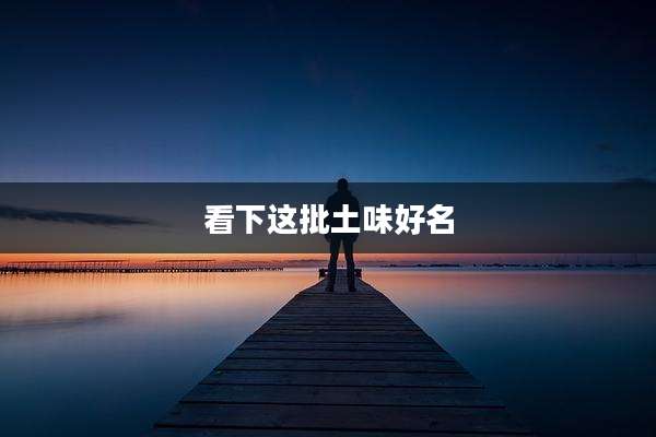 看下这批土味好名