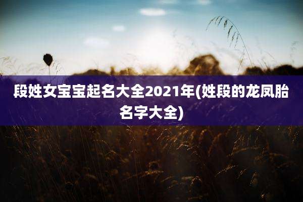 段姓女宝宝起名大全2021年(姓段的龙凤胎名字大全)