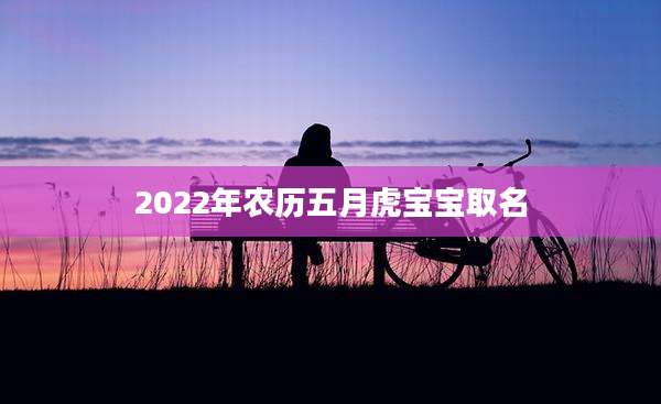 2022年农历五月虎宝宝取名