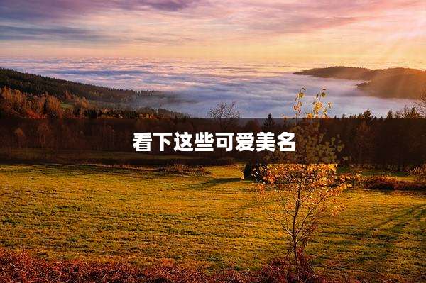 看下这些可爱美名