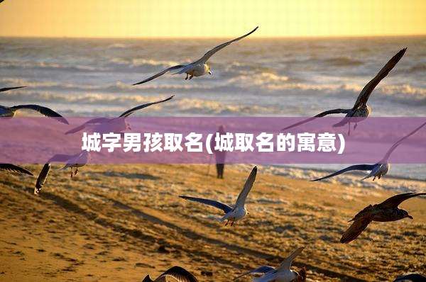 城字男孩取名(城取名的寓意)