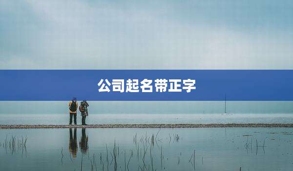 公司起名带正字