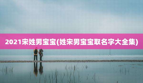 2021宋姓男宝宝(姓宋男宝宝取名字大全集)