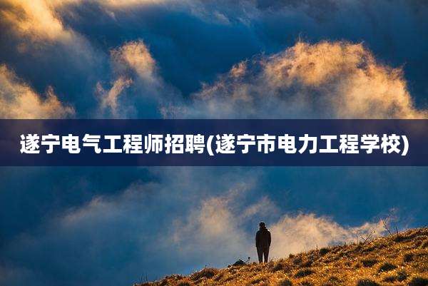 遂宁电气工程师招聘(遂宁市电力工程学校)