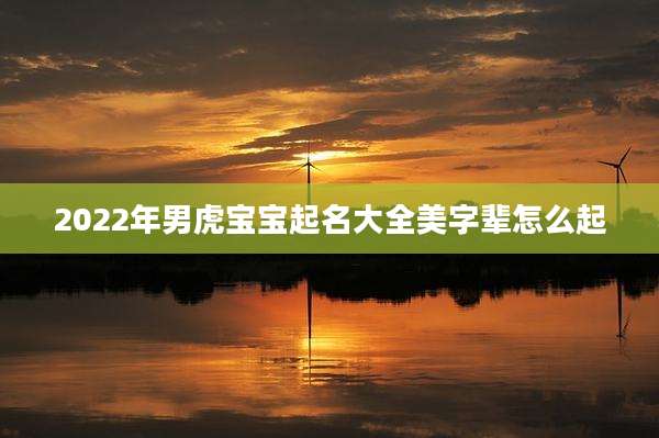 2022年男虎宝宝起名大全美字辈怎么起