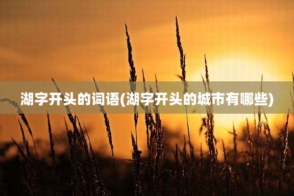 湖字开头的词语(湖字开头的城市有哪些)