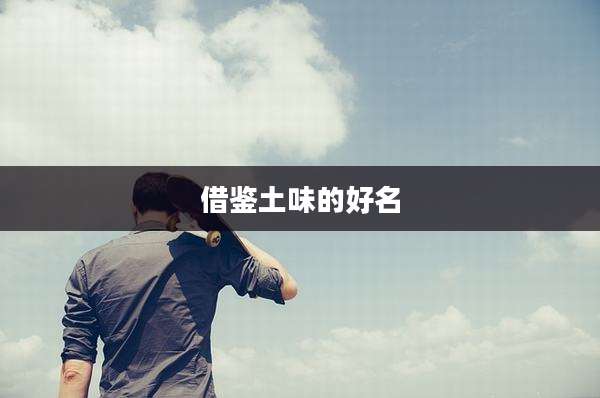 借鉴土味的好名