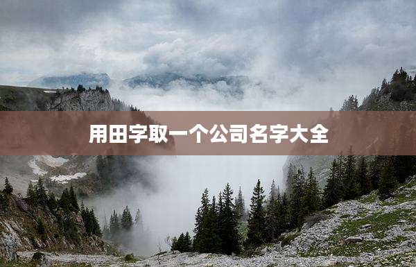 用田字取一个公司名字大全