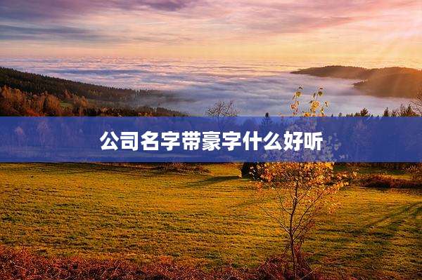 公司名字带豪字什么好听