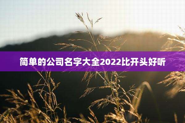 简单的公司名字大全2022比开头好听