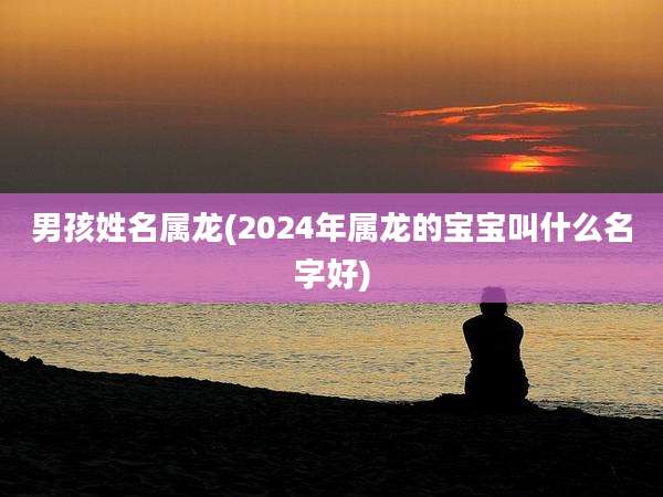 男孩姓名属龙(2024年属龙的宝宝叫什么名字好)