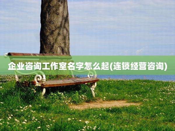企业咨询工作室名字怎么起(连锁经营咨询)