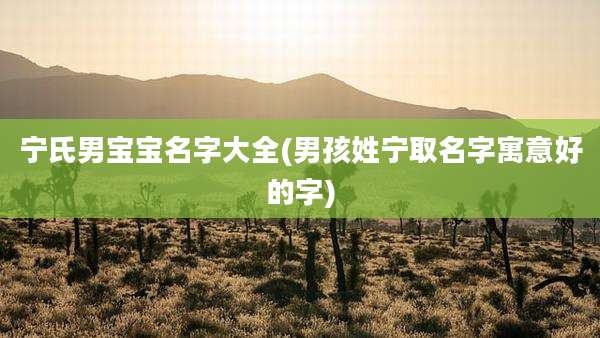 宁氏男宝宝名字大全(男孩姓宁取名字寓意好的字)