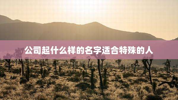 公司起什么样的名字适合特殊的人