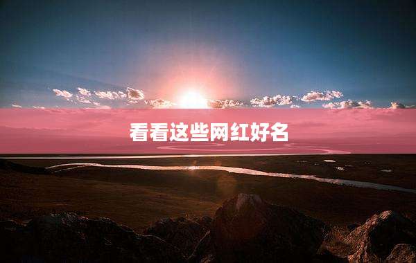 看看这些网红好名