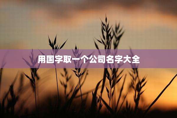 用国字取一个公司名字大全