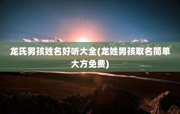 龙氏男孩姓名好听大全(龙姓男孩取名简单大方免费)