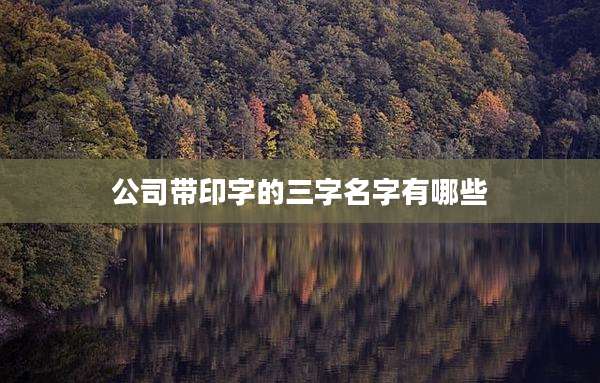 公司带印字的三字名字有哪些