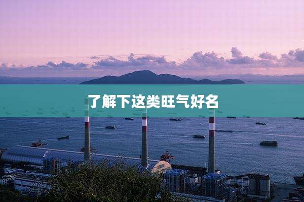了解下这类旺气好名