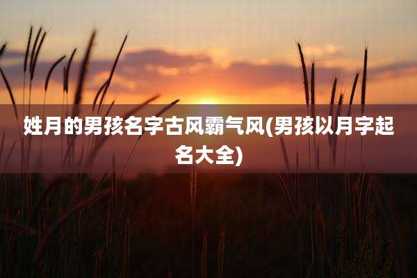 姓月的男孩名字古风霸气风(男孩以月字起名大全)