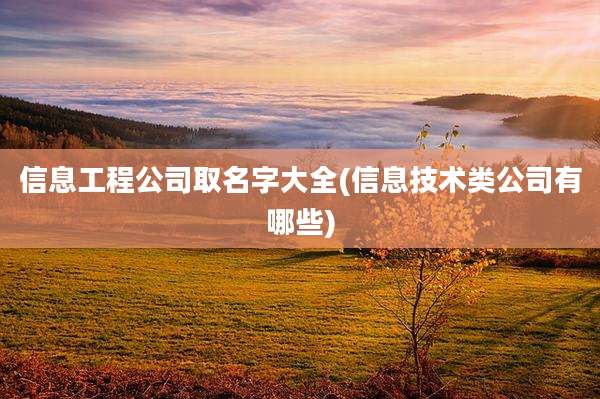 信息工程公司取名字大全(信息技术类公司有哪些)
