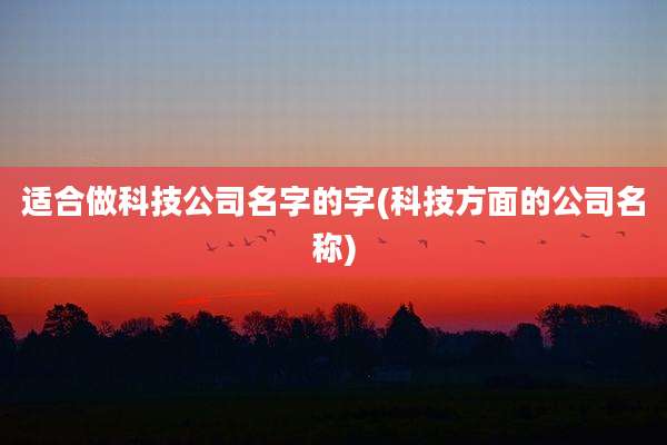 适合做科技公司名字的字(科技方面的公司名称)