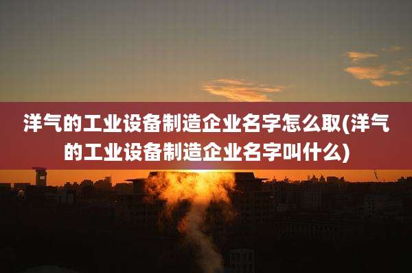 洋气的工业设备制造企业名字怎么取(洋气的工业设备制造企业名字叫什么)