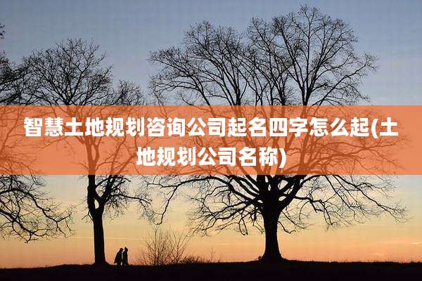 智慧土地规划咨询公司起名四字怎么起(土地规划公司名称)