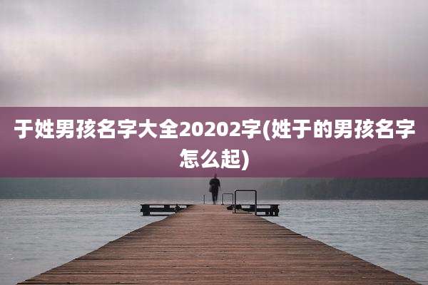 于姓男孩名字大全20202字(姓于的男孩名字怎么起)