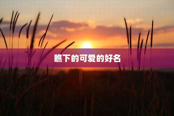 瞧下的可爱的好名