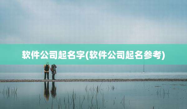 软件公司起名字(软件公司起名参考)