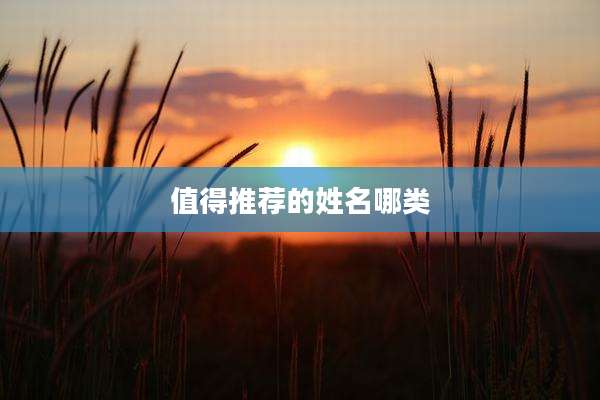 值得推荐的姓名哪类