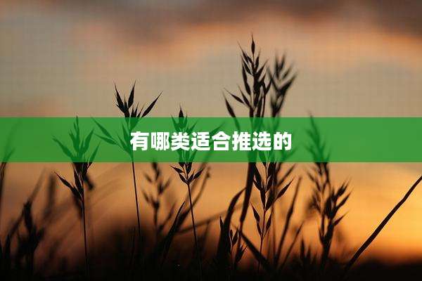 有哪类适合推选的