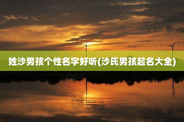 姓沙男孩个性名字好听(沙氏男孩起名大全)