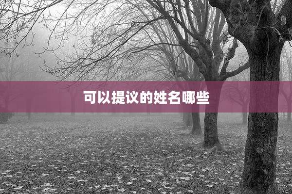 可以提议的姓名哪些
