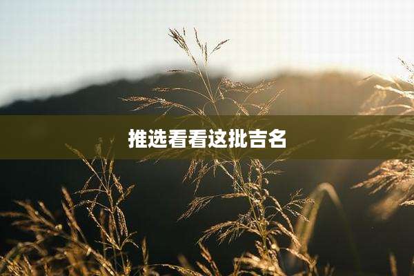 推选看看这批吉名