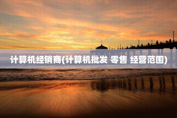 计算机经销商(计算机批发 零售 经营范围)
