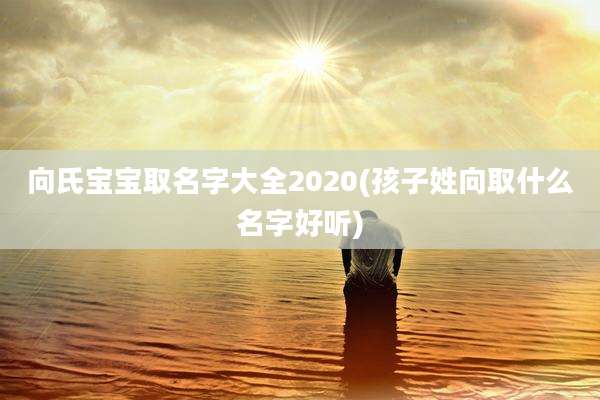 向氏宝宝取名字大全2020(孩子姓向取什么名字好听)