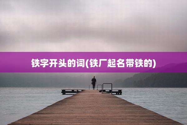 铁字开头的词(铁厂起名带铁的)