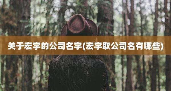 关于宏字的公司名字(宏字取公司名有哪些)