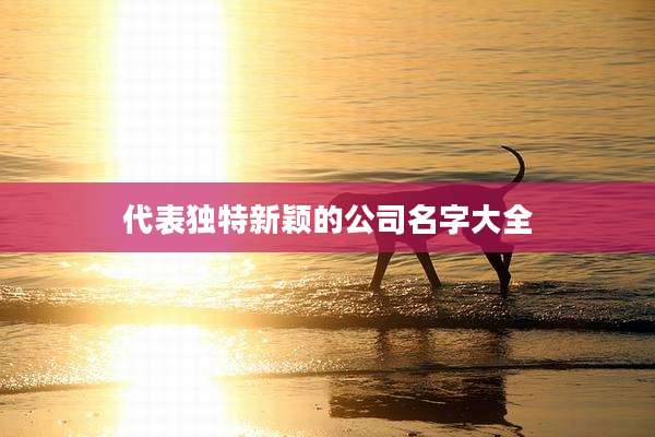 代表独特新颖的公司名字大全