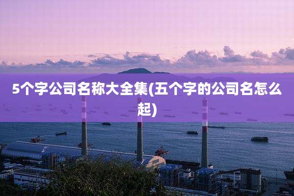 5个字公司名称大全集(五个字的公司名怎么起)