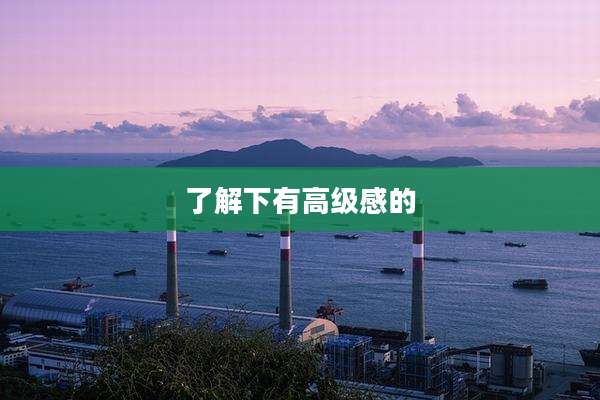 了解下有高级感的