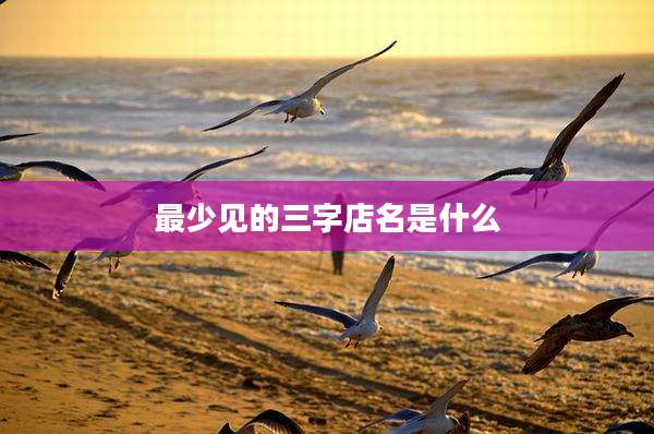 最少见的三字店名是什么