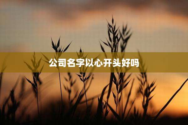 公司名字以心开头好吗
